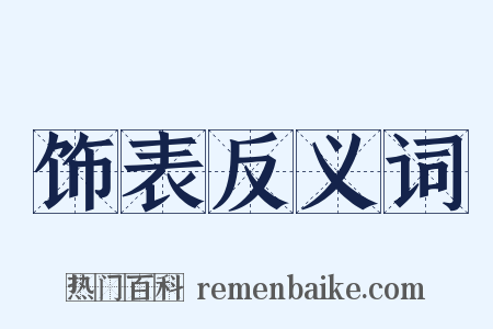 饰表反义词是什么意思的图片